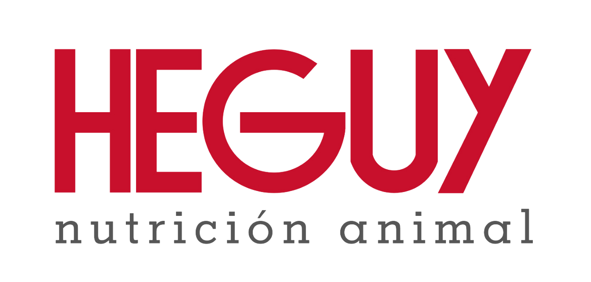 Heguy